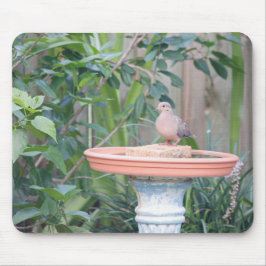 Rouwende duif bij Birdbath Muismat