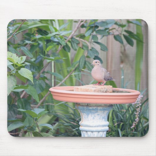Rouwende duif bij Birdbath Muismat (Voorkant)