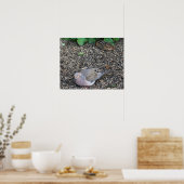 Rouwende Duif en Chipmunk Poster (Keuken)