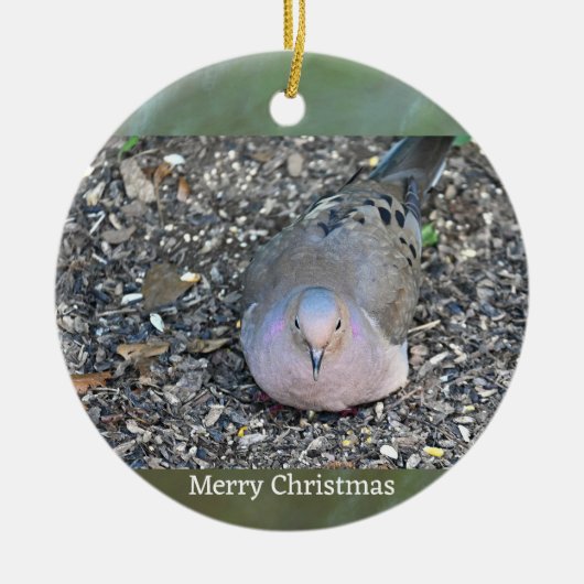 Rouwende Duif Foto Ornament (Voorkant)