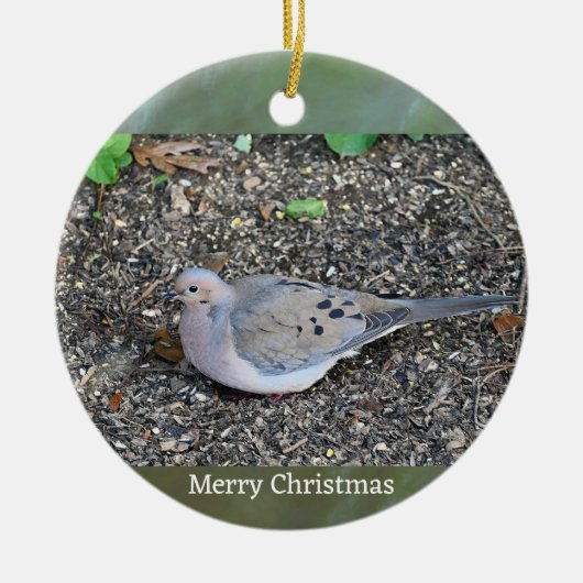 Rouwende Duif Foto Ornament (Voorkant)