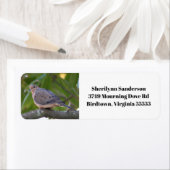 Rouwende duif foto retouradres etiket (Insitu)