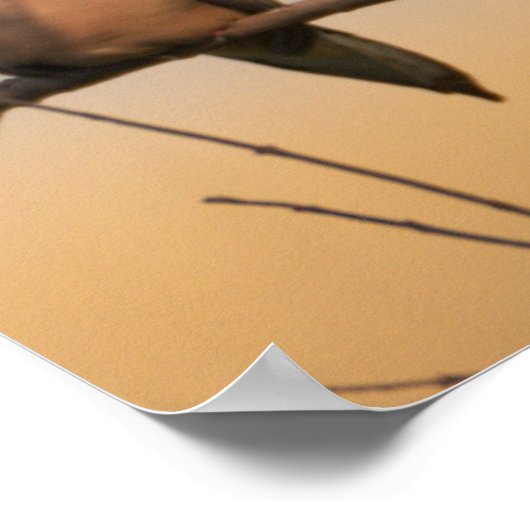 Rouwende duif in Tree Poster (Hoek)