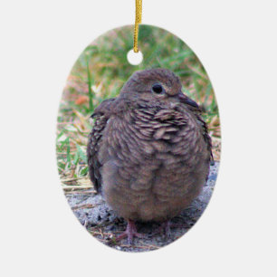 rouwende duif Ornament