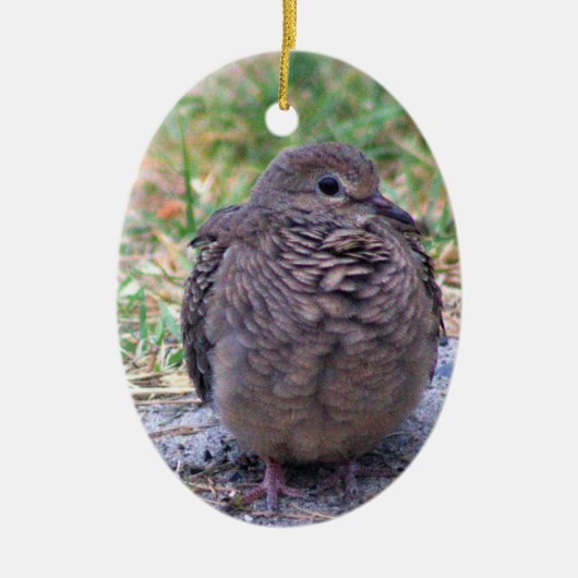 rouwende duif Ornament (Voorkant)