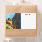 Rouwende duif Vrouw met Baby saguaro cactus nest Etiket (Insitu)