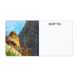 Rouwende duif Vrouw met Baby saguaro cactus nest Etiket