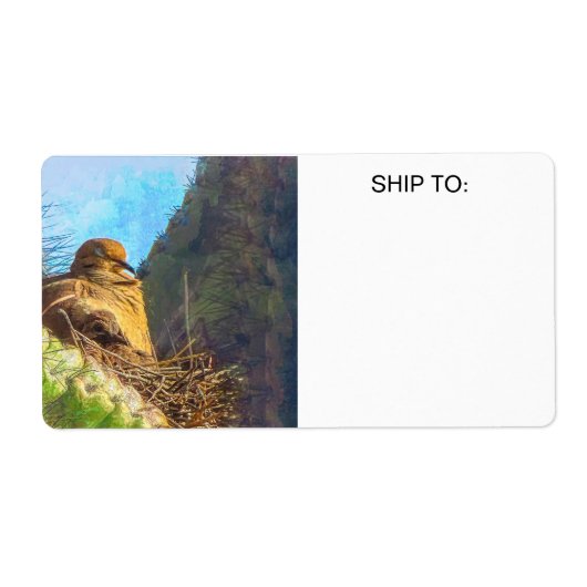 Rouwende duif Vrouw met Baby saguaro cactus nest Etiket (Voorkant)