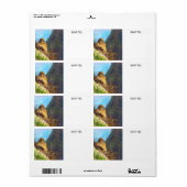 Rouwende duif Vrouw met Baby saguaro cactus nest Etiket (Full Sheet)