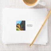 Rouwende duif Vrouw met Baby saguaro cactus nest Etiket (Insitu)