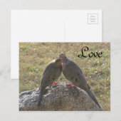 Rouwende duiven houden van Briefkaarten (Voorkant / Achterkant)