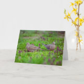 Rouwende Duiven In Gras Verlies Van Tweelingsympat Kaart (Gele Bloem)