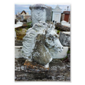 rouwpaarden foto afdruk (Voorkant)