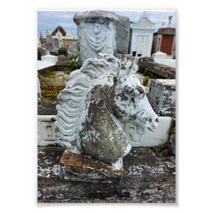 rouwpaarden foto afdruk