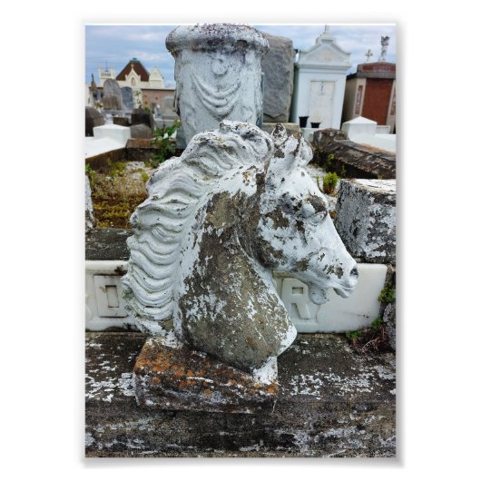 rouwpaarden foto afdruk (Voorkant)