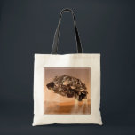 Rover & Descent Stage voor Mars Science Laboratory Tote Bag<br><div class="desc">Artistiek's concept van de rover en afdaling podium voor Mars Science Laboratory ruimtesonde tijdens de laatste minuut voordat de Curiosity rover raakt op het oppervlak van Mars.</div>