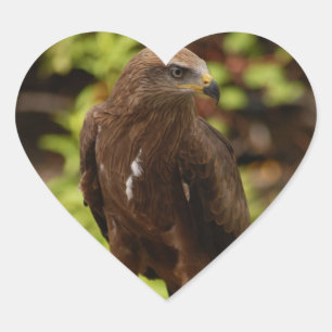 Rovogels Hart Sticker