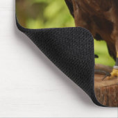Rovogels Muismat (Hoek)