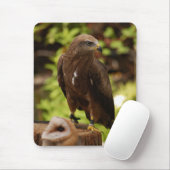 Rovogels Muismat (Met muis)