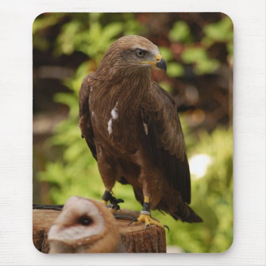 Rovogels Muismat (Voorkant)