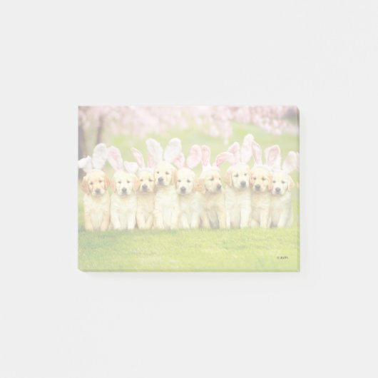 Row of Puppy Bunnies Post-it® Notes (Voorkant)