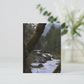 Row River Rapids Briefkaart (Staand voorkant)