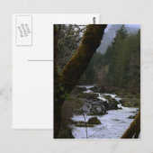 Row River Rapids Briefkaart (Voorkant / Achterkant)