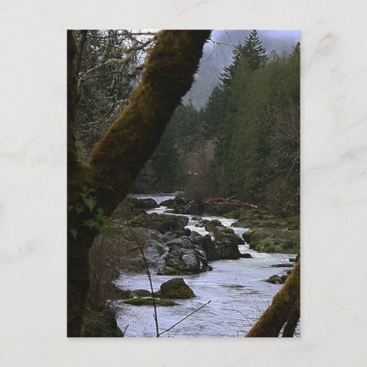 Row River Rapids Briefkaart (Voorkant)