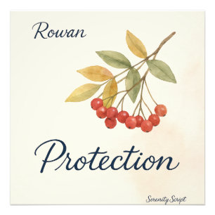 Rowan — Bescherming Serenity Script Collectie Foto Afdruk