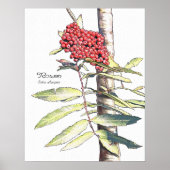 Rowan Study Poster (Voorkant)