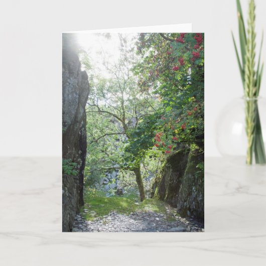 Rowan Tree Tilberthwaite Quarry Kaart (Voorkant)