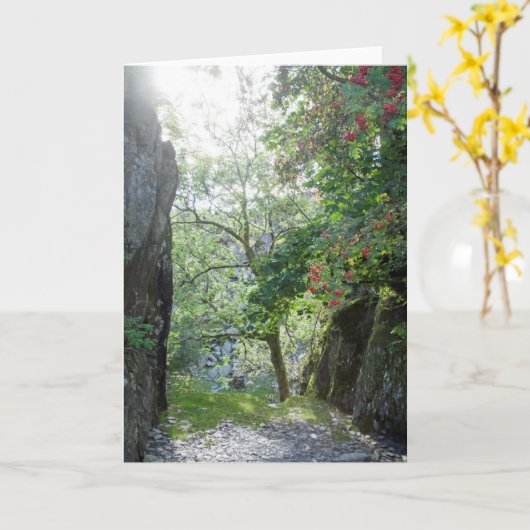 Rowan Tree Tilberthwaite Quarry Kaart (Gele Bloem)