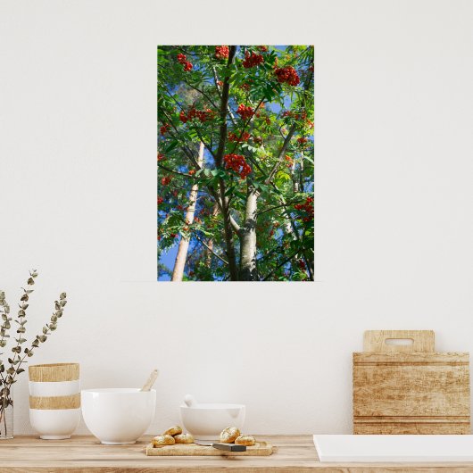 Rowanboom Poster (Keuken)