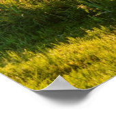 Rowboot Moored bij Lake Poster (Hoek)