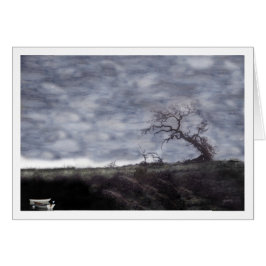 Rowboten en eikenhout