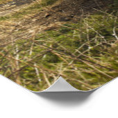 Rowboten op de kust | Engeland Poster (Hoek)