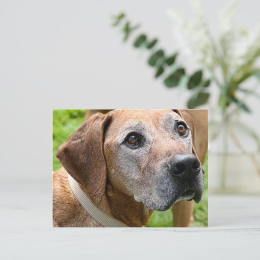 Rowdy Briefkaart (Staand voorkant)