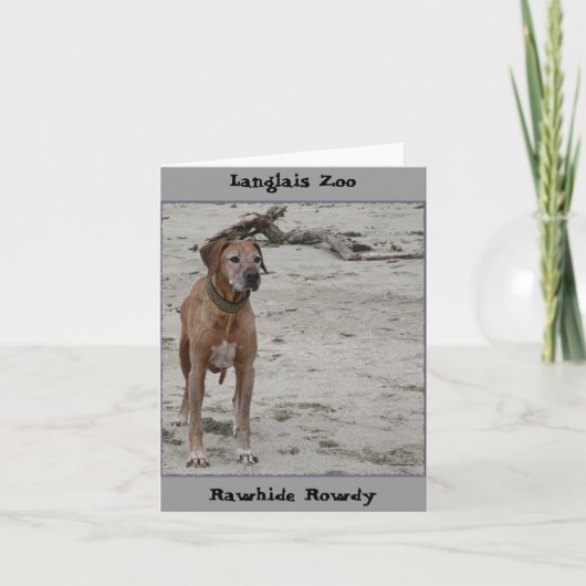 Rowdy, Rawhide Rowdy, Langlais Zoo Kaart (Voorkant)