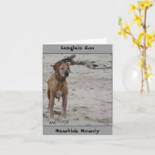 Rowdy, Rawhide Rowdy, Langlais Zoo Kaart (Gele Bloem)