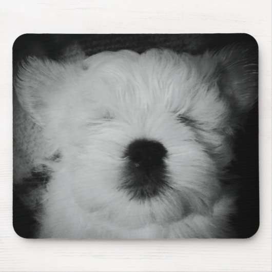 Rowdy the Maltipoo Puppy Muismat (Voorkant)