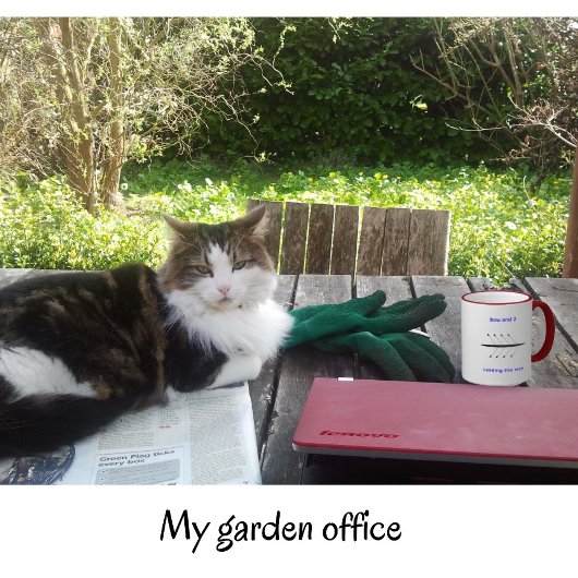 Rowing 2-sided custom name Bow 2 crew Koffiemok