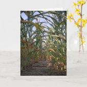 "Rows of Corn" Kaart van Hwe (Gele Bloem)