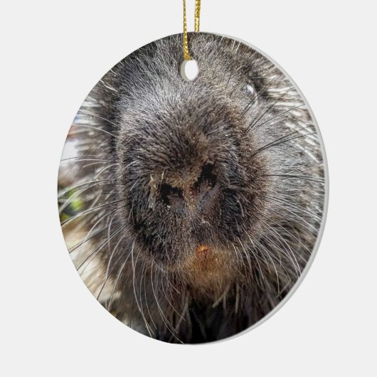 Rox 2016 keramisch ornament (Links)