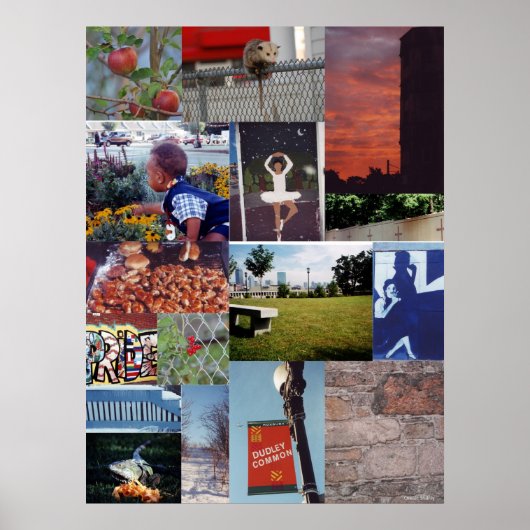 Roxbury, MA-fotocollage muur Poster (Voorkant)