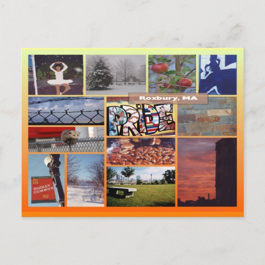 Roxbury, Massachusetts Photo Collage 9958 Briefkaart (Voorkant)