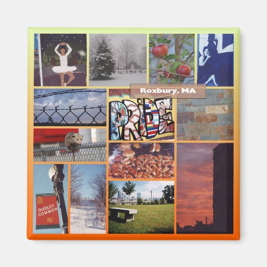 Roxbury, Massachusetts Photo Collage 9958 Magneet (Voorkant)
