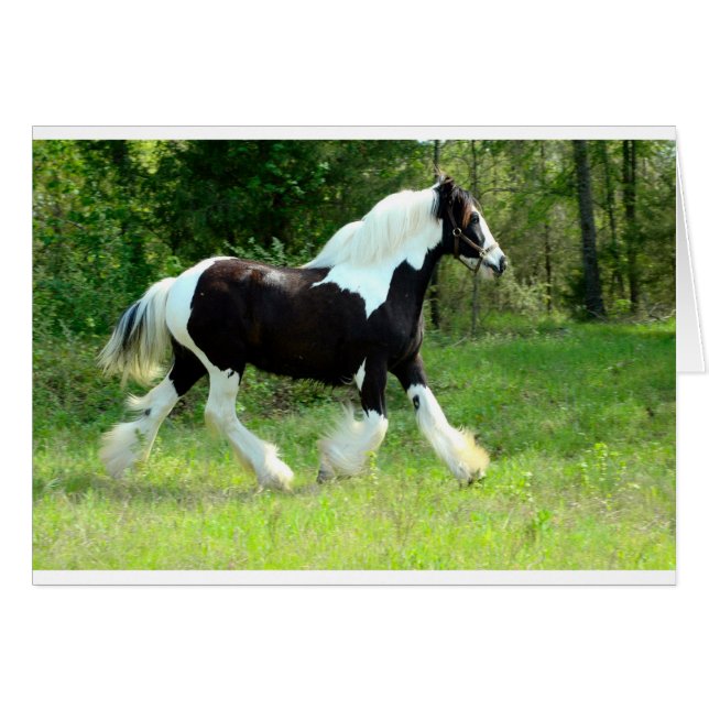 Roxie (Voorkant Horizontaal)