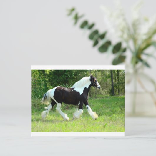 Roxie Briefkaart (Staand voorkant)