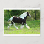 Roxie Briefkaart (Voorkant)