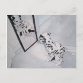 Roxie de Dalmatiaan Briefkaart (Voorkant)